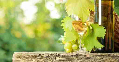 ein Glas Weinviertel DAC steht für einen typischen Grünen Veltliner aus dem Weinviertel - "Districtus Austriae Controllatus" ist ein Gütesiegel, an dem besonders gebietstypische Weine Österreichs zu erkennen sind