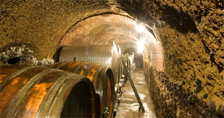 im Kellergewölbe des Arbeitskellers vergären die verschiedenen Weinsorten