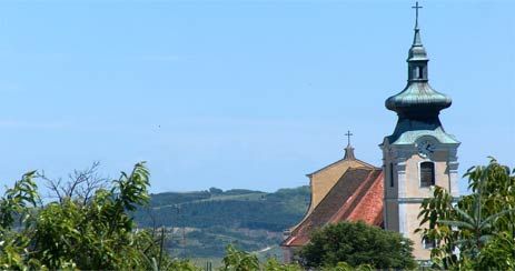 Die Parrkirche Straning wurde in ihrer heutigen Größe aus Zogelsdorfer Sandstein - Blöcken ohne Stützpfeiler erbaut und 1752 geweiht. Das Holchtarbild zeigt die Himmelfahrt Mariens und wurde von Johann Schmidt (Wiener Schmidt) dargestellt.