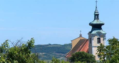 Die Pfarrkirche Straning wurde aus Zogelsdorfer Sandstein-Blöcken ohne Stützpfeiler erbaut und 1752 geweiht. Das Hochaltarbild zeigt die Himmelfahrt Mariens und wurde von Johann Georg Schmidt (Wiener Schmidt) dargestellt.