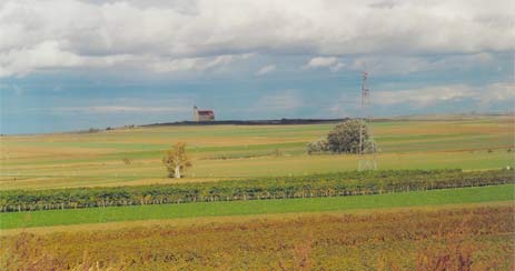 die Landschaft rund um Straning mit Blick auf die Wartberger Kirche